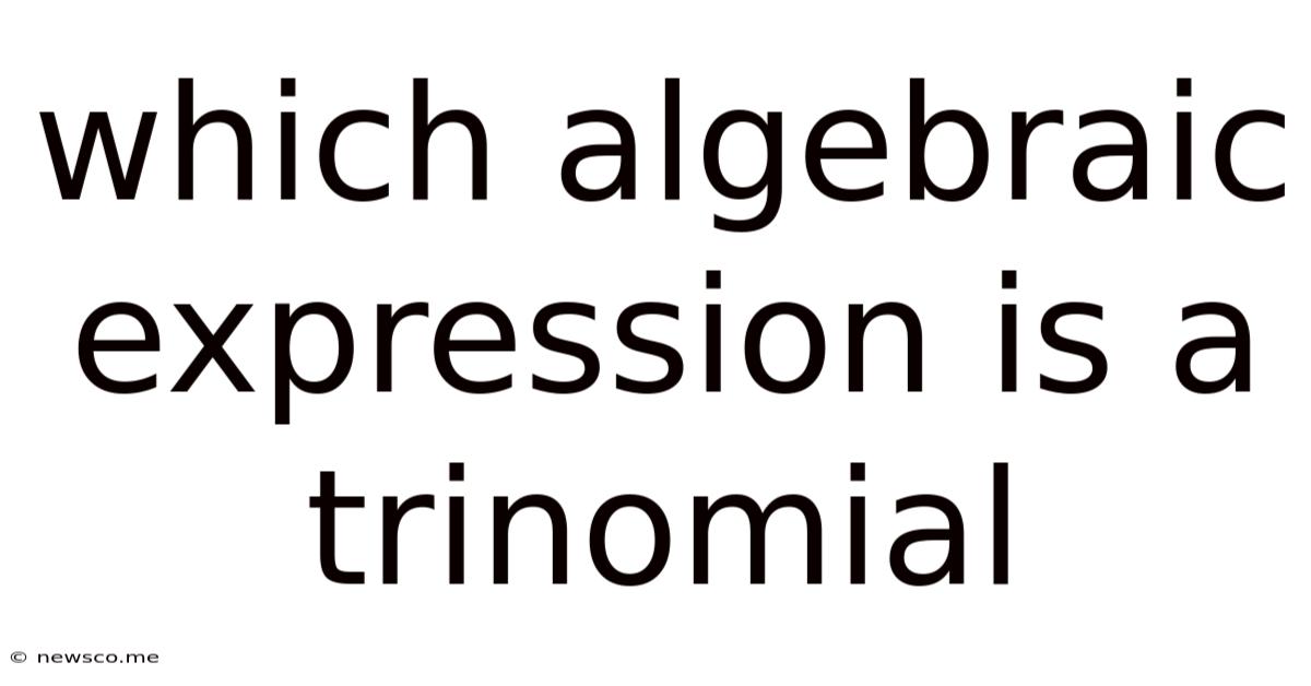 Which Algebraic Expression Is A Trinomial