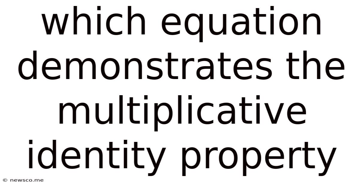 Which Equation Demonstrates The Multiplicative Identity Property