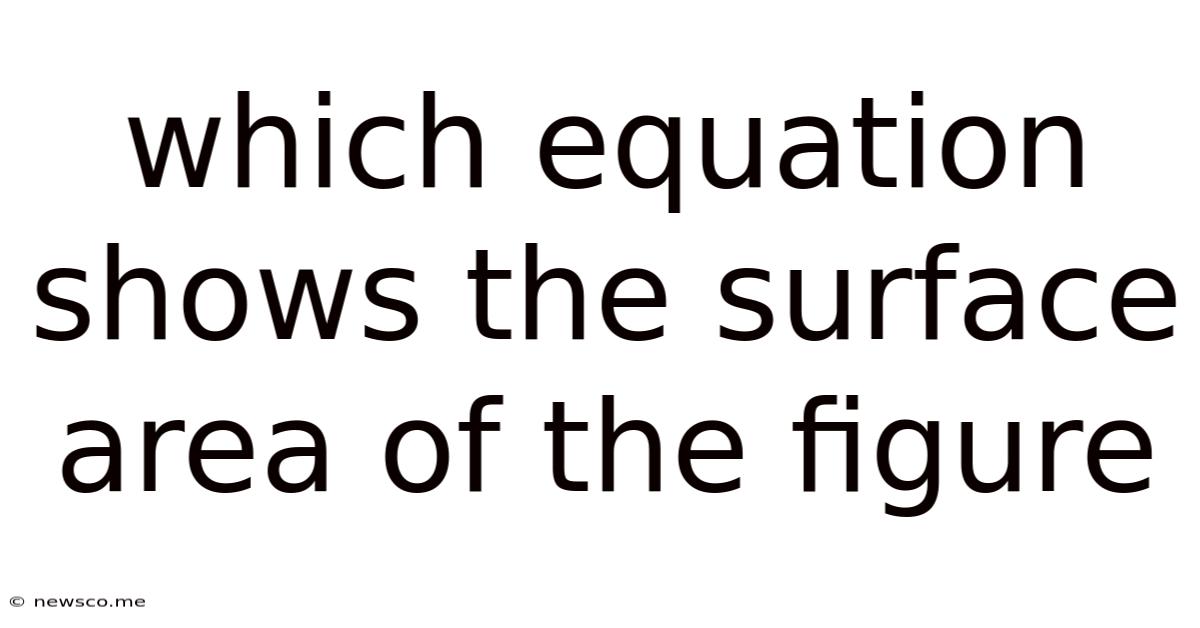 Which Equation Shows The Surface Area Of The Figure