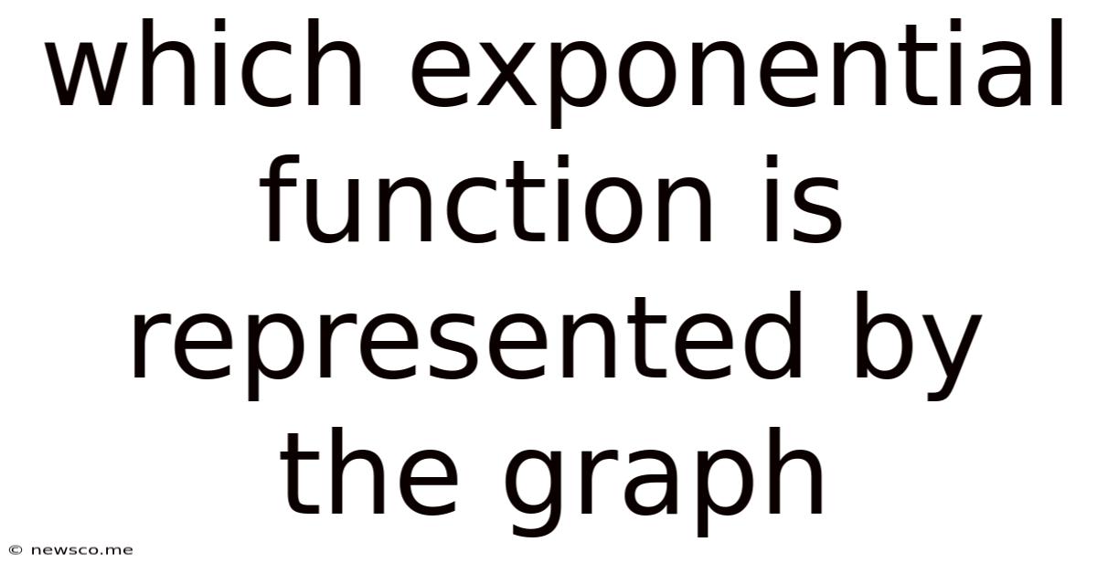Which Exponential Function Is Represented By The Graph