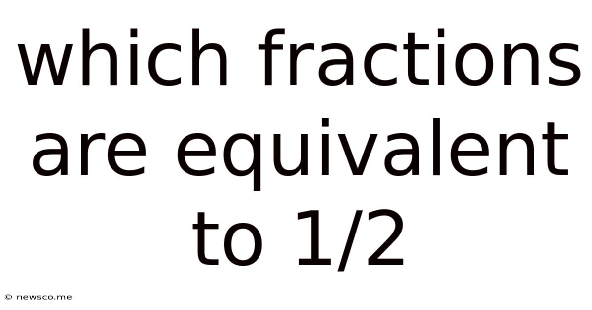Which Fractions Are Equivalent To 1/2