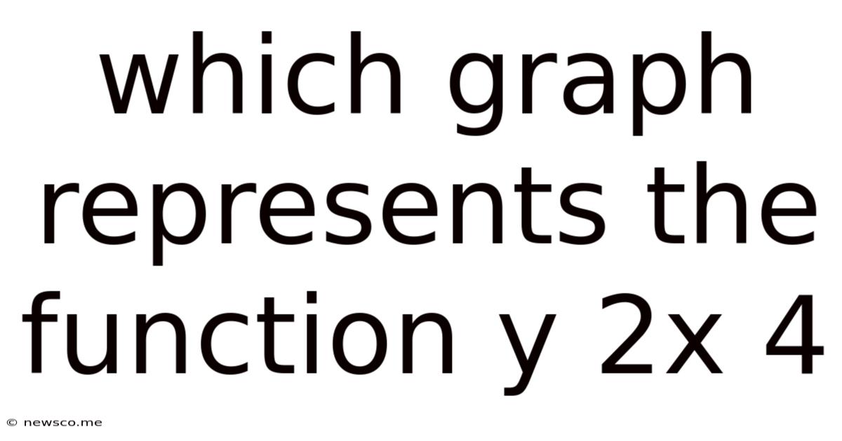 Which Graph Represents The Function Y 2x 4