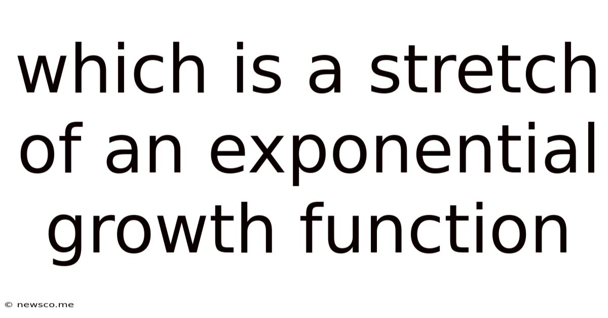Which Is A Stretch Of An Exponential Growth Function