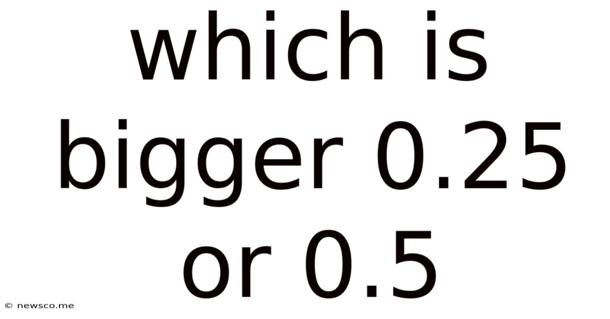 Which Is Bigger 0.25 Or 0.5