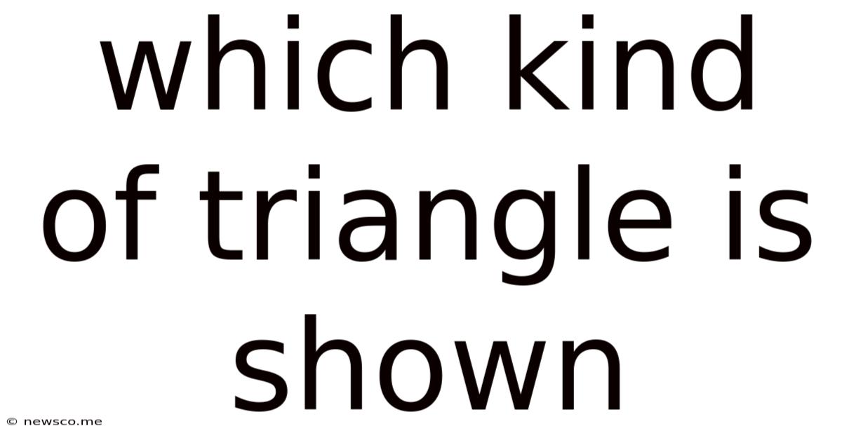 Which Kind Of Triangle Is Shown