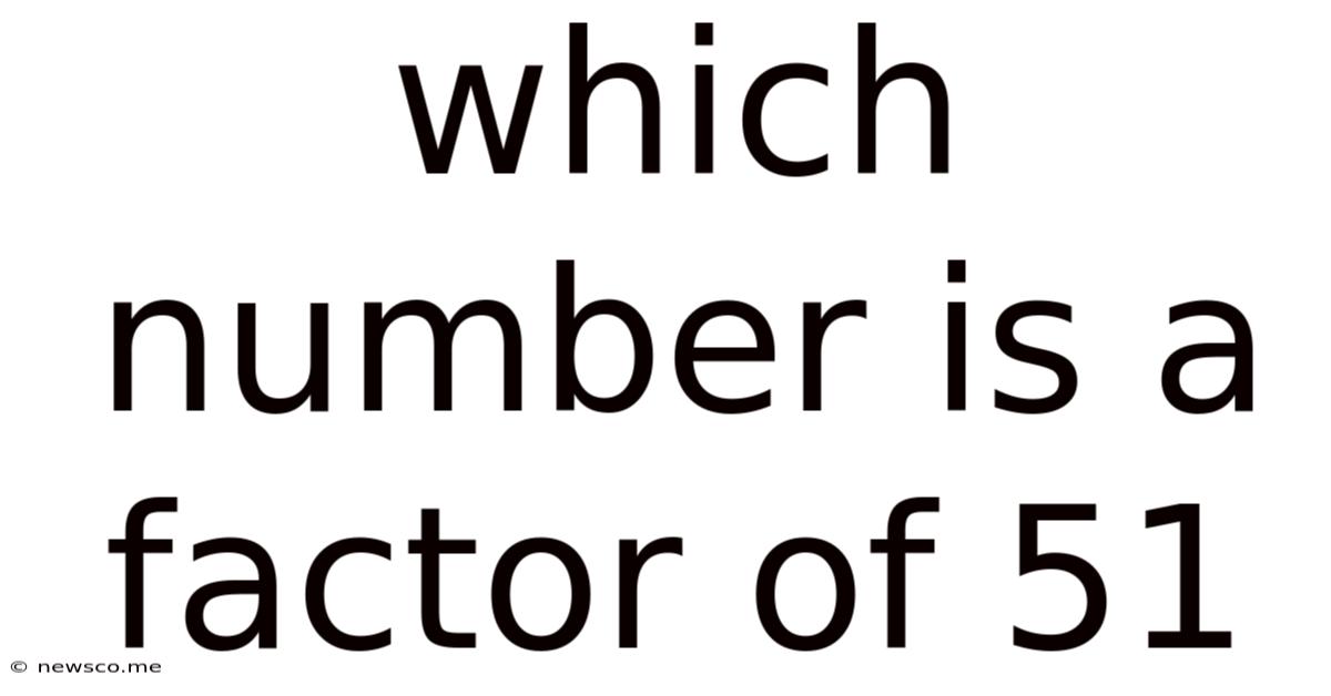 Which Number Is A Factor Of 51