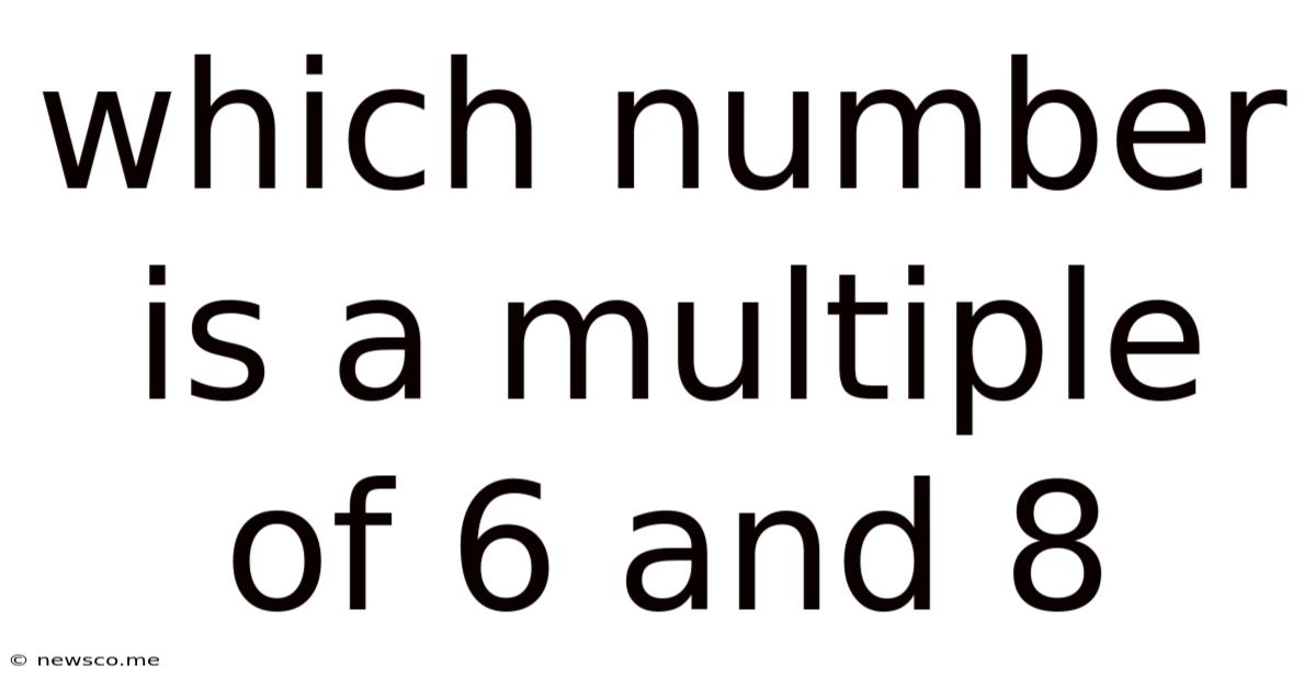 Which Number Is A Multiple Of 6 And 8