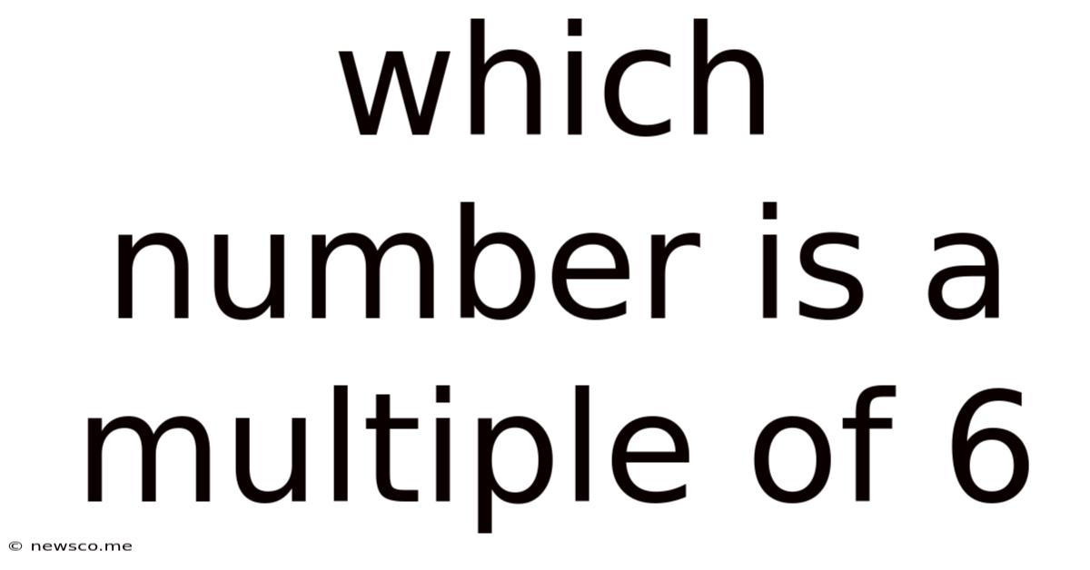 Which Number Is A Multiple Of 6