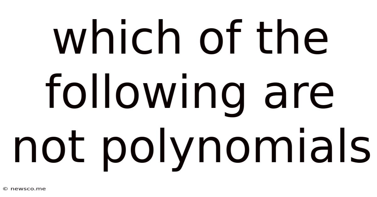 Which Of The Following Are Not Polynomials