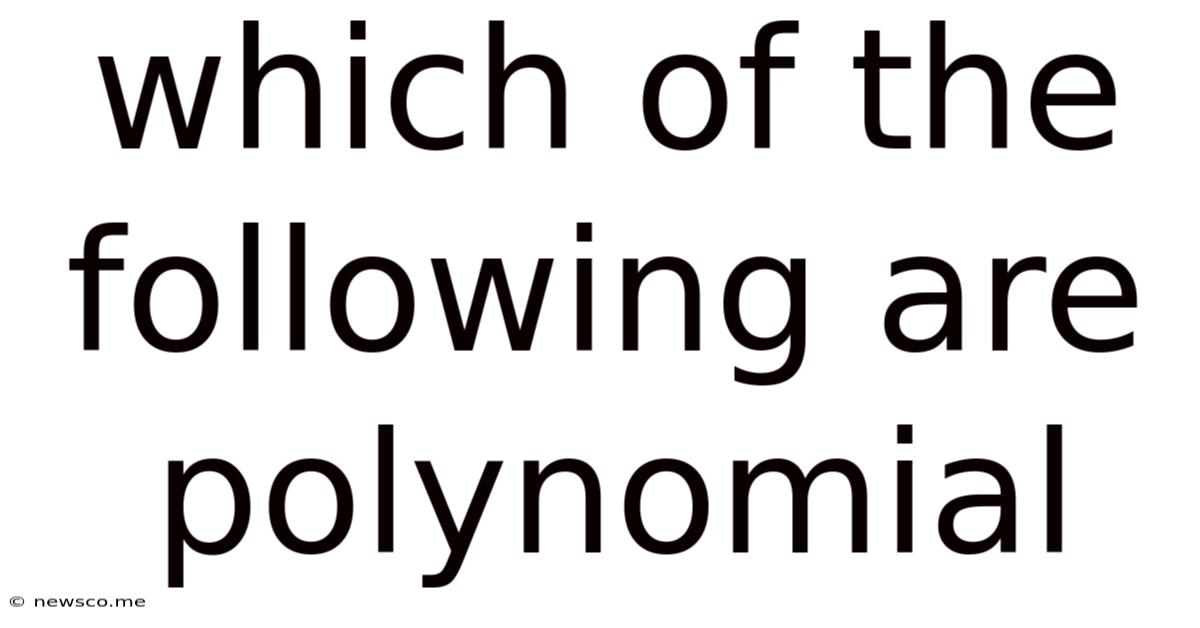 Which Of The Following Are Polynomial