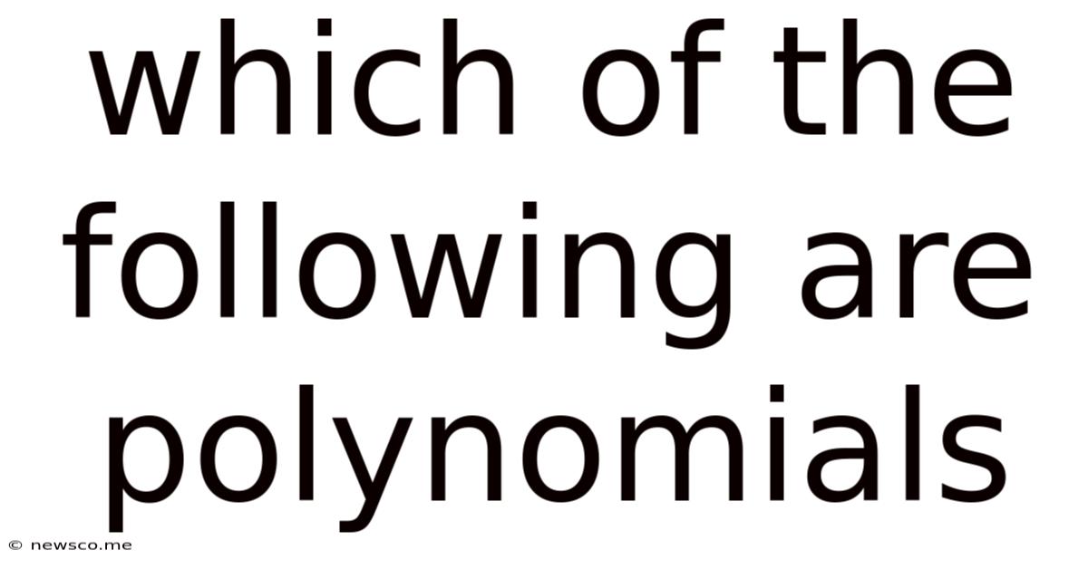 Which Of The Following Are Polynomials
