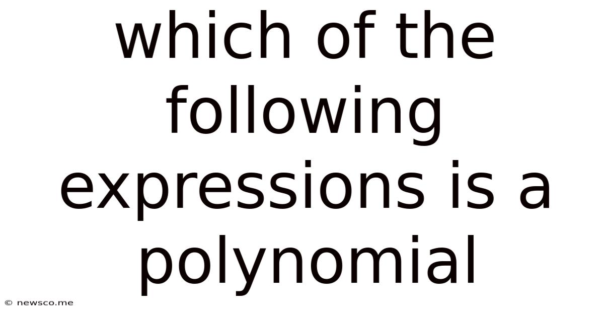 Which Of The Following Expressions Is A Polynomial