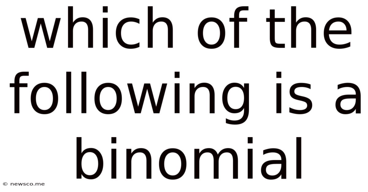 Which Of The Following Is A Binomial