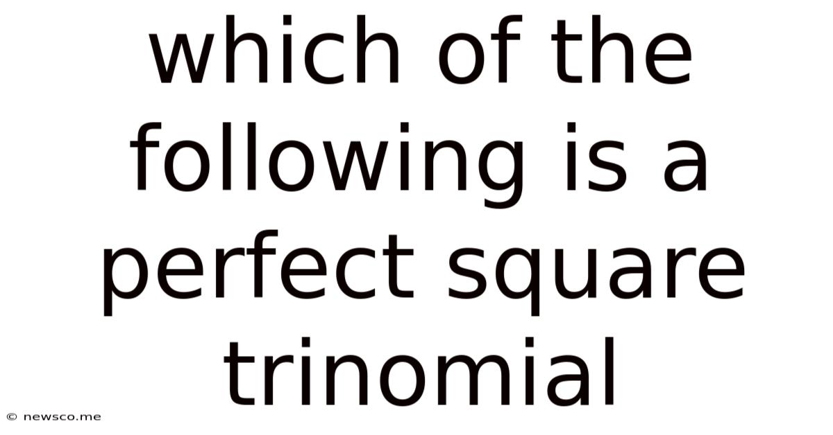 Which Of The Following Is A Perfect Square Trinomial