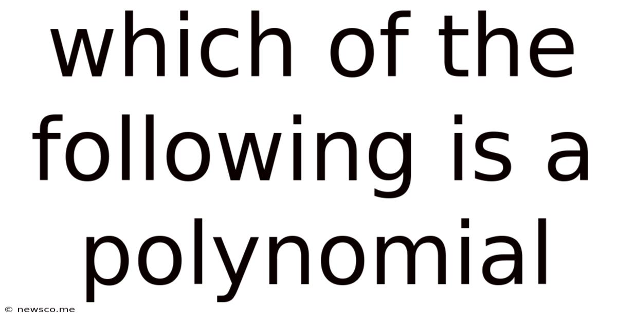 Which Of The Following Is A Polynomial