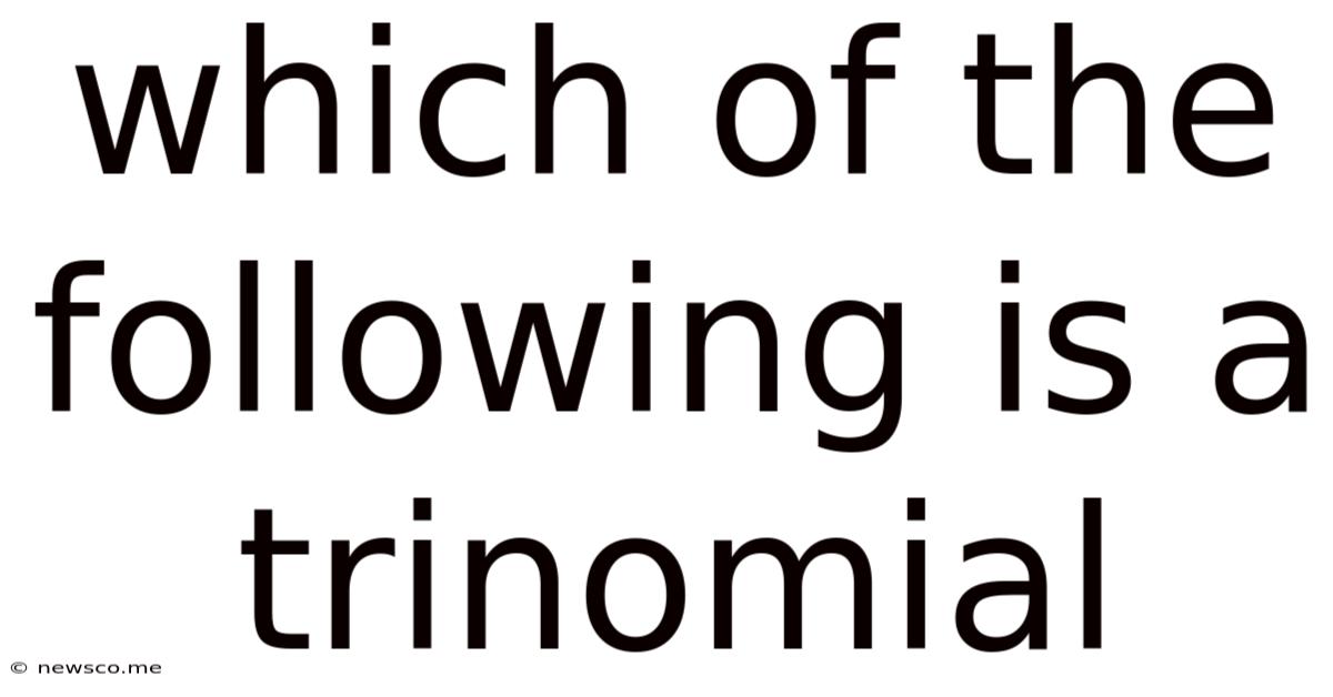 Which Of The Following Is A Trinomial