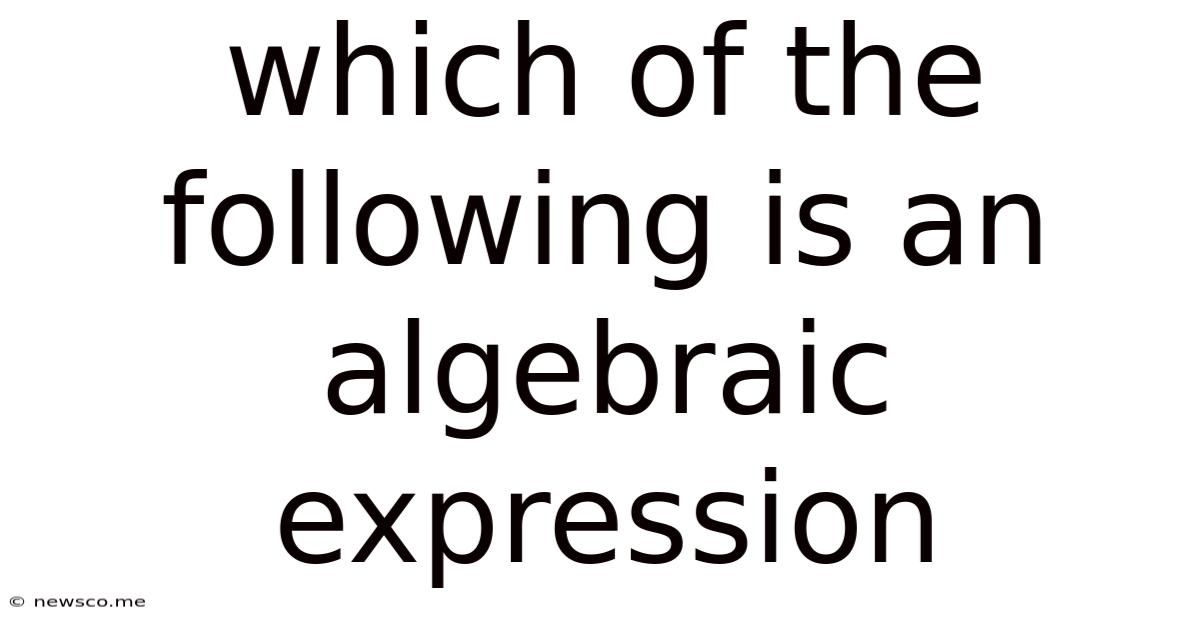 Which Of The Following Is An Algebraic Expression