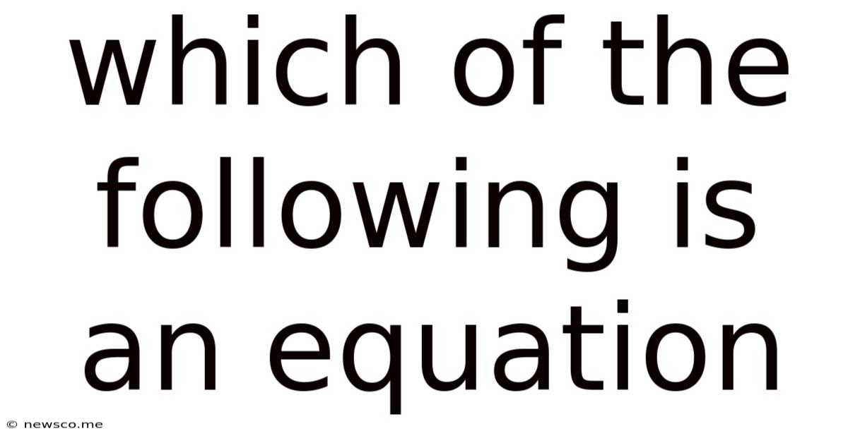 Which Of The Following Is An Equation