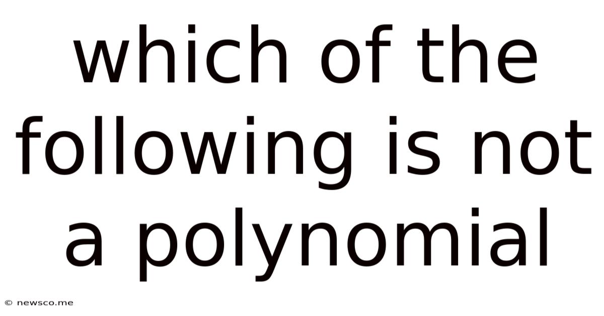 Which Of The Following Is Not A Polynomial