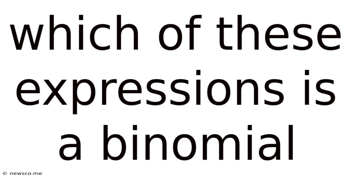 Which Of These Expressions Is A Binomial