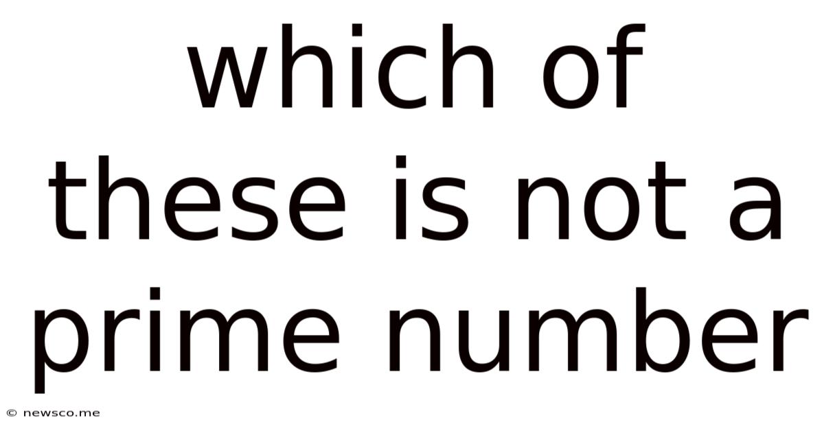 Which Of These Is Not A Prime Number