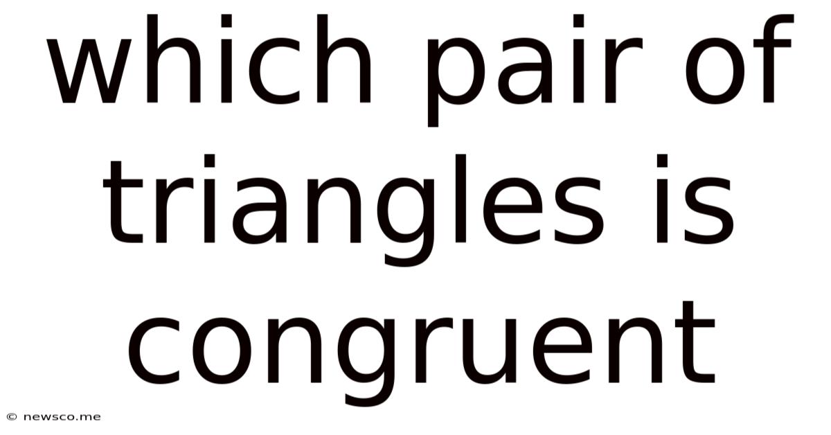 Which Pair Of Triangles Is Congruent