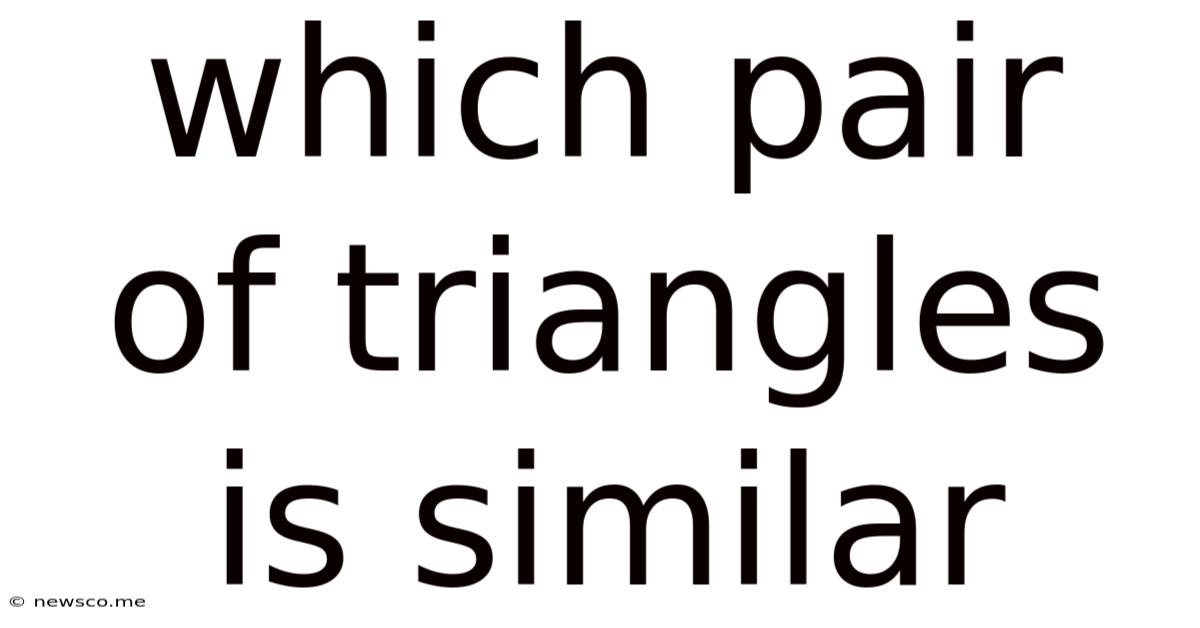 Which Pair Of Triangles Is Similar