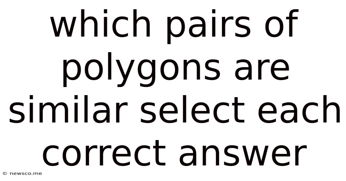 Which Pairs Of Polygons Are Similar Select Each Correct Answer