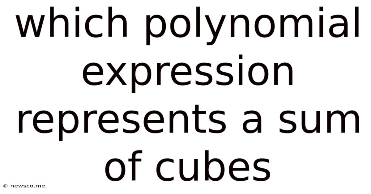 Which Polynomial Expression Represents A Sum Of Cubes