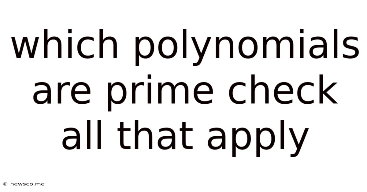 Which Polynomials Are Prime Check All That Apply
