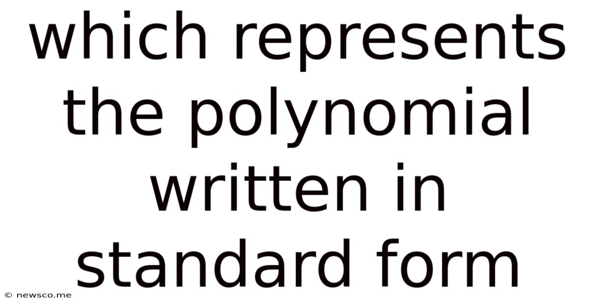 Which Represents The Polynomial Written In Standard Form