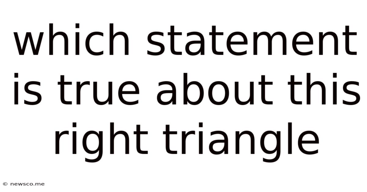 Which Statement Is True About This Right Triangle