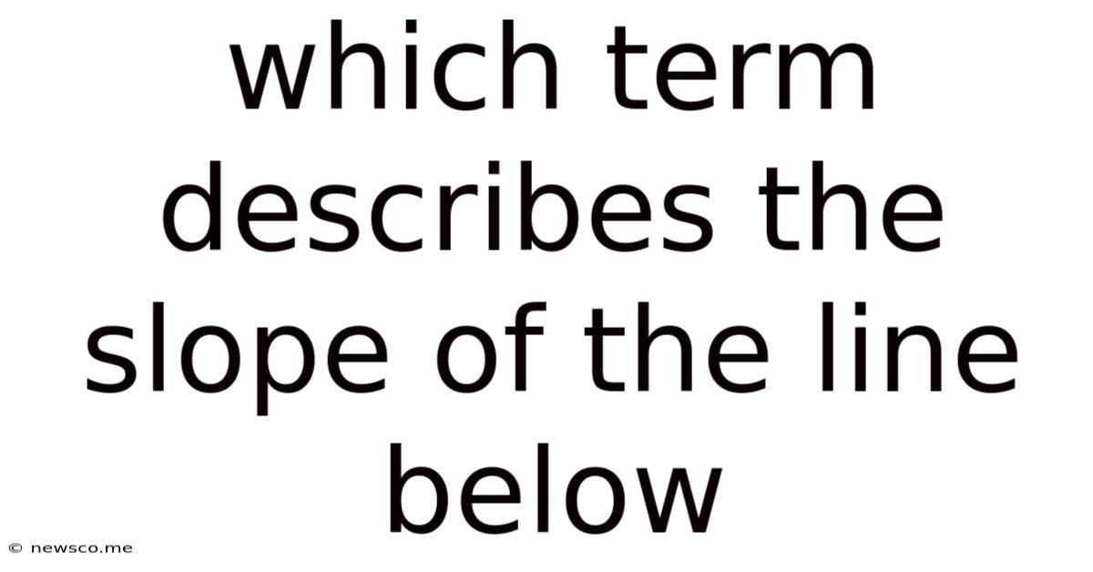 Which Term Describes The Slope Of The Line Below