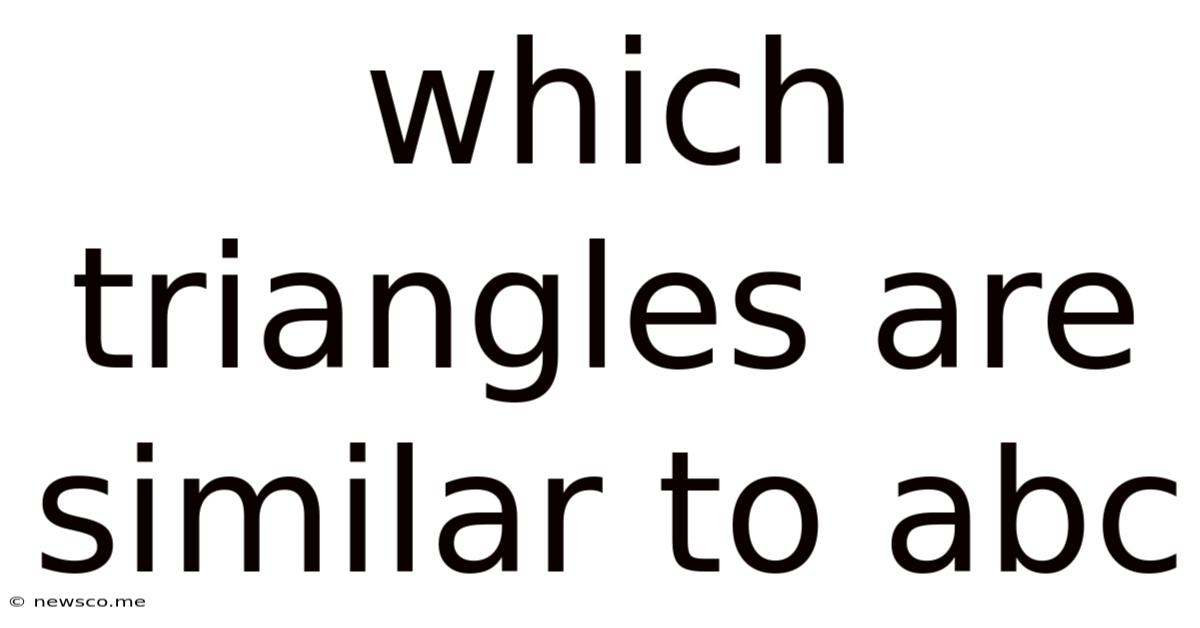 Which Triangles Are Similar To Abc