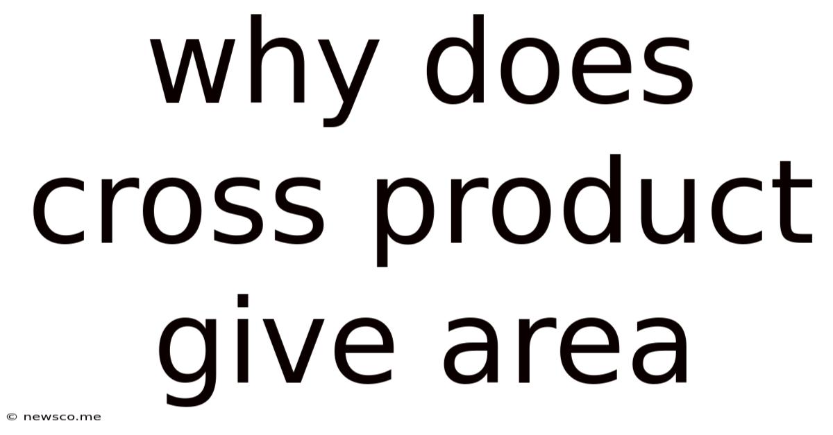 Why Does Cross Product Give Area