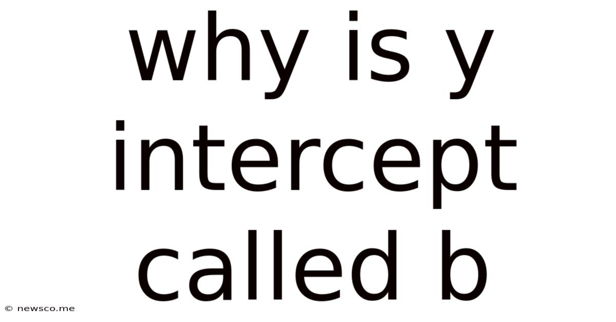 Why Is Y Intercept Called B