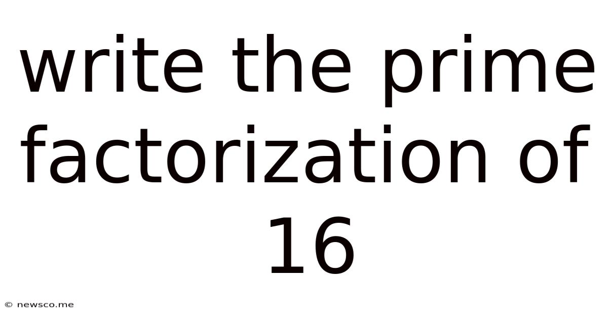 Write The Prime Factorization Of 16